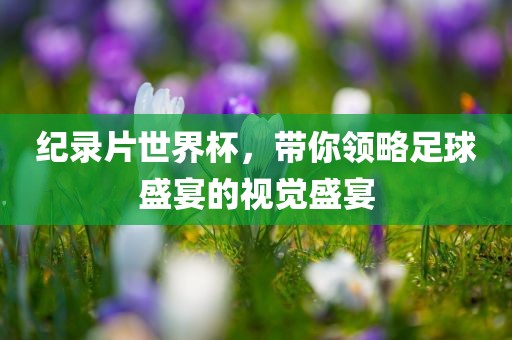 纪录片世界杯，带你领略足球盛宴的视觉盛宴洛阳市法福文化传播有限公司