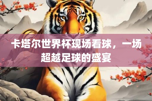 卡塔尔世界杯洛阳市法福文化传播有限公司现场看球，一场超越足球的盛宴