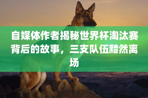 自媒体作者揭秘世界杯淘汰赛背后的故事，三支队伍黯然离场