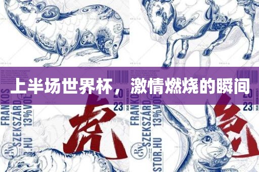 上半场世界杯，激情燃烧的瞬间