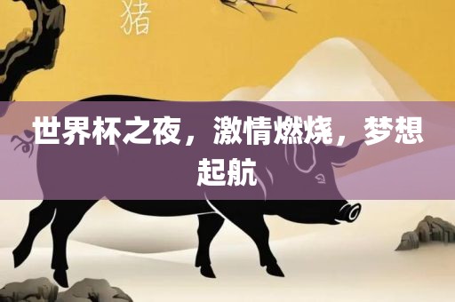 世界杯之夜，激情燃烧，梦想起航