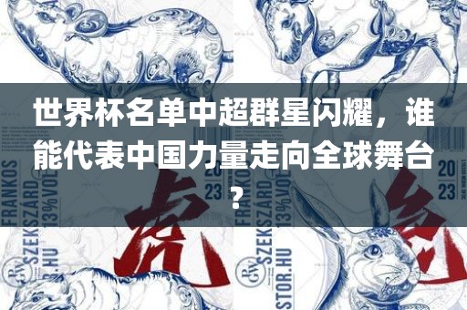 世界杯名单中超群星闪耀，谁能代表中国力量走向全球舞台？