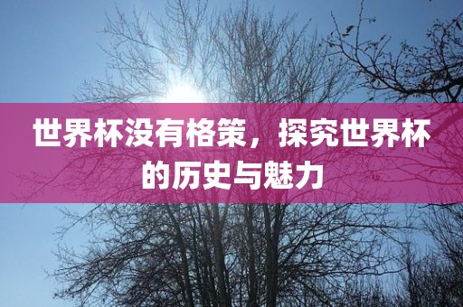 世界杯没有格策，探究世界杯的历史与魅力洛阳市法福文化传播有限公司
