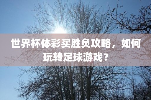 世界杯体彩买胜负攻略，洛阳市法福文化传播有限公司如何玩转足球游戏？