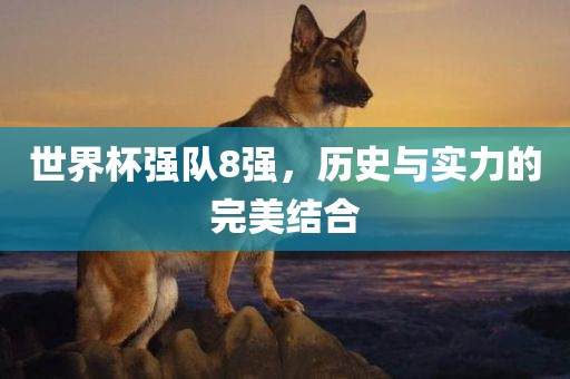 世界杯强队8强，历史与实力的完美结合