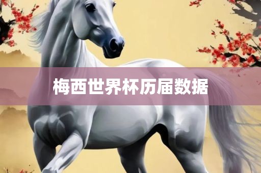 梅西世界杯历届数据