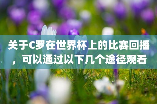 关于C罗在世界杯上的比赛回播，可以通过以下几个途径观看