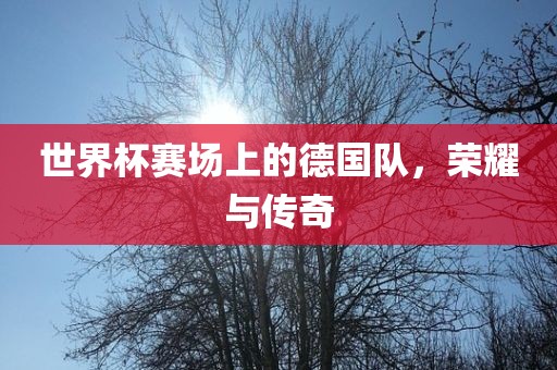 世界杯赛场上的德国队，荣耀与传奇洛阳市法福文化传播有限公司