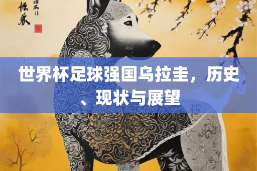 世界杯足球强国乌拉圭，历史、现状与展望