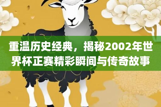 重温历史经典，揭秘2002年世界杯正赛精彩瞬间与传奇故事