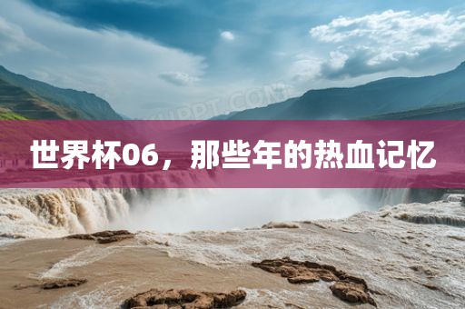 世界杯06，那些年的热血记忆