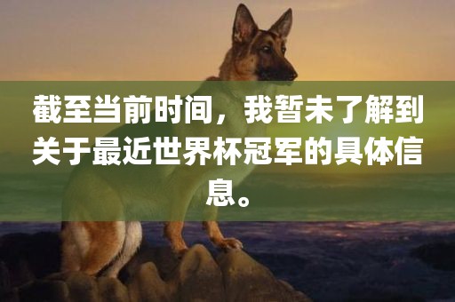 截至当前时间，我暂未了解到关于最近世界杯冠军的具体信息。洛阳市法福文化传播有限公司