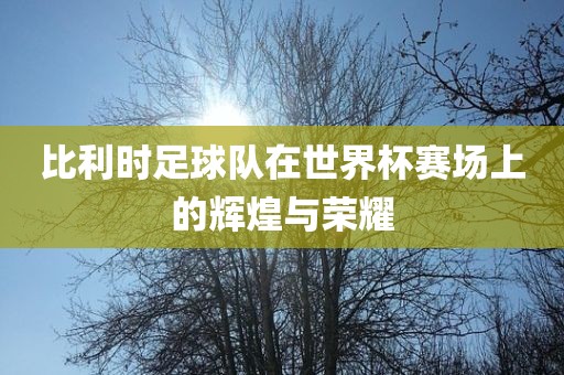 比利时足球队在世界杯赛场上的辉煌与荣耀洛阳市法福文化传播有限公司