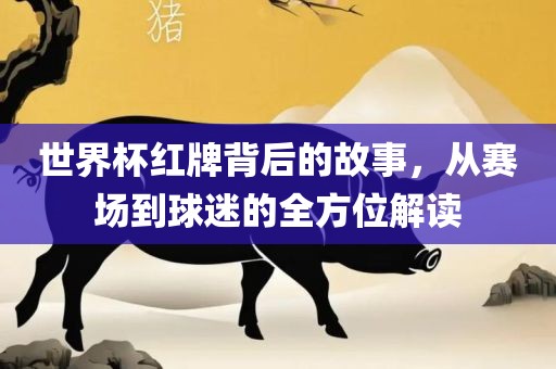 世界杯红牌背后的故事，从赛场到球迷的全方位解读
