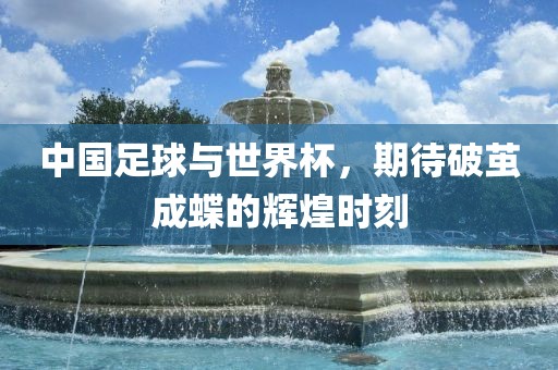 中国足球与世界杯，期待破茧成蝶的辉煌时刻