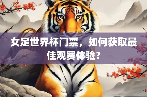 女足世界杯门票，如何获取最佳观赛体验？