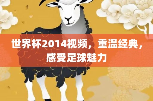 世界杯2014视频，重温经典，感受足球魅力