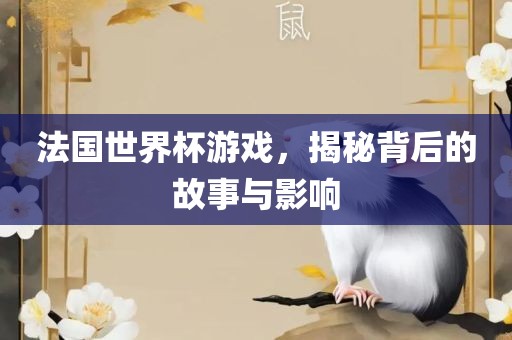 法国世界杯游戏，揭秘背后的故事与影响