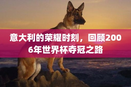 意大利的荣耀时刻，回顾2006年世界杯夺冠之路