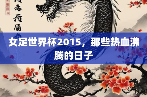 女足世界杯2015，那些热血沸腾的日子