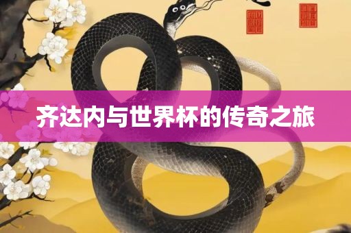 世界杯传奇之旅 第2页