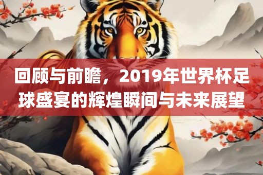 回顾与前瞻，2019年世界杯足球盛宴的辉煌瞬间与未来展望