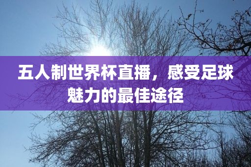 五人制世界杯直播，感受足球魅力的最佳途径