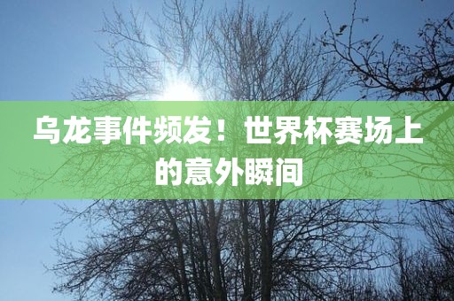 乌龙事件频发！世界杯赛场上的意外瞬间洛阳市法福文化传播有限公司