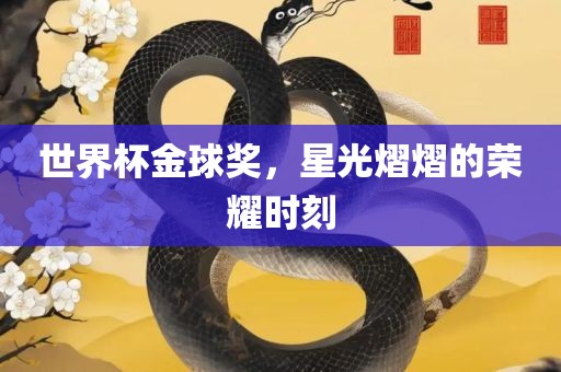 世界杯金球奖，星光熠熠的荣耀时刻