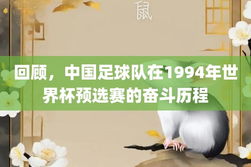 回顾，中国足球队在1994年世界杯预选赛的奋斗历程洛阳市法福文化传播有限公司