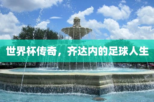 世界杯传奇，齐达内的足球人生