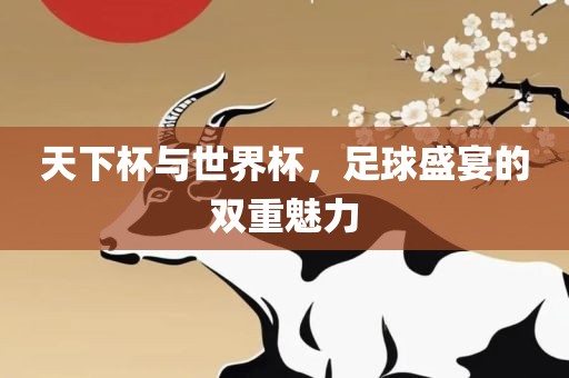 天下杯与世界杯，足球盛宴的双重魅力