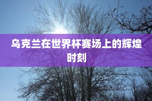 乌克兰在世界杯赛场上的辉煌时刻