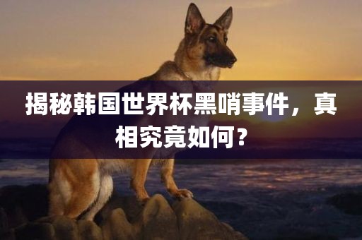 揭秘韩国世界杯黑哨事件，真相究竟如何？