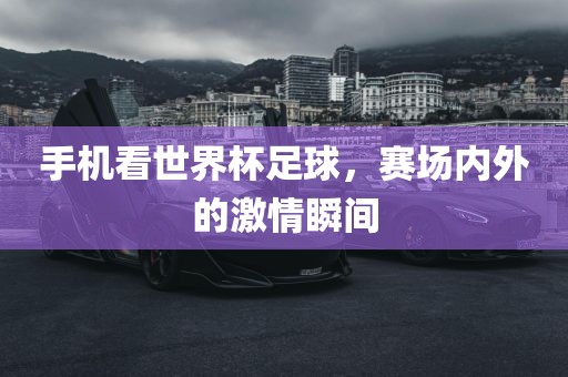 手机看世界杯足球，赛场内外的激情瞬间