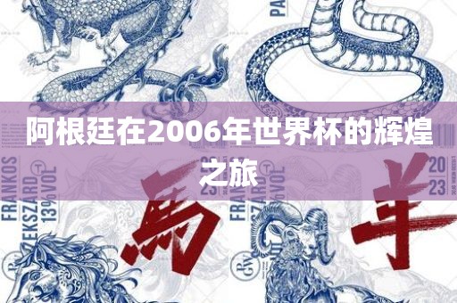 阿根廷在2006年世界杯的辉煌之旅