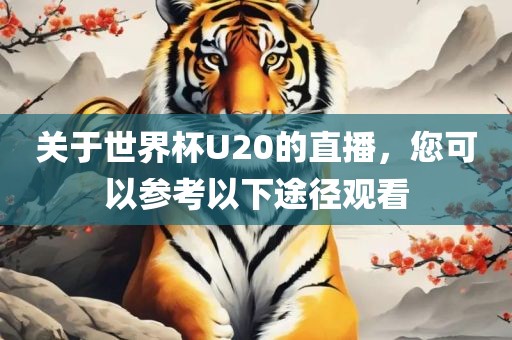 关于世界杯U20的直播，您可以参考以下途径观看
