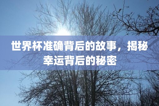 世界杯准确背后的故事，揭秘幸运背后的秘密洛阳市法福文化传播有限公司