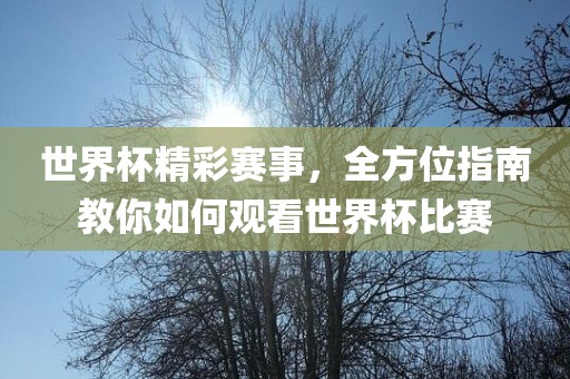 世界杯精彩赛事，全方位指南教你如何观看世界杯比赛