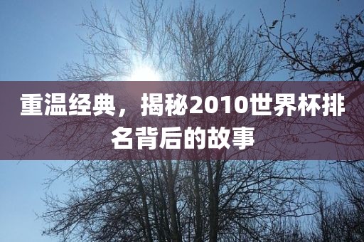 重温经典，揭秘2010世界杯排名背后的故事