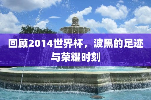 回顾2014世界杯，波黑的足迹与荣耀时刻