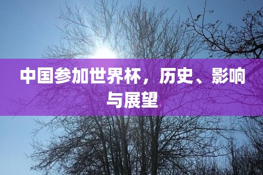 中国参加世界杯，历史、影响与展望