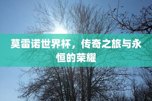 莫雷诺世界杯，传奇之旅与永恒的荣耀