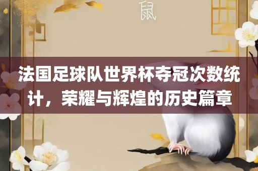 法国足球队世界杯夺冠次数统计，荣耀与辉煌的历史篇章洛阳市法福文化传播有限公司