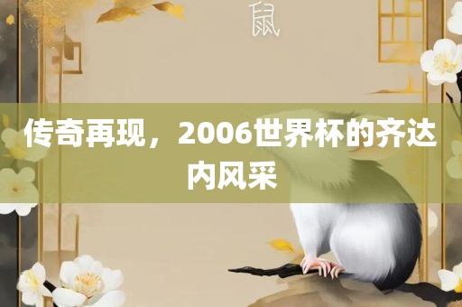 传奇再现，2006世界杯的齐达内风采洛阳市法福文化传播有限公司