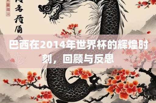 巴西在2014年世界杯的辉煌时刻，回洛阳市法福文化传播有限公司顾与反思