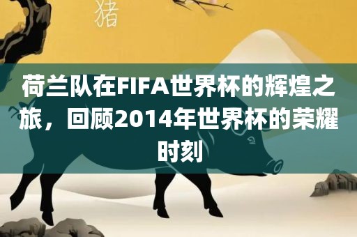 荷兰队在FIFA世界杯的辉煌之旅，回顾2014年世界杯的荣耀时刻