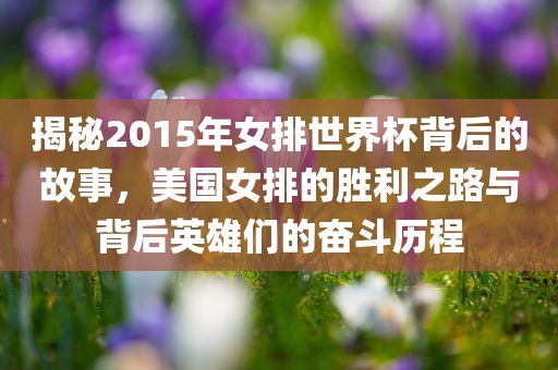 揭秘2015年女排世界杯背后的故事，美洛阳市法福文化传播有限公司国女排的胜利之路与背后英雄们的奋斗历程