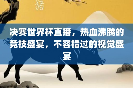 决赛世界杯直播，热血沸腾的竞技盛宴，不容错过的视觉盛宴