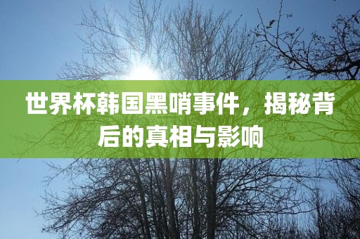 世界杯韩国黑哨事件，揭秘背后的真相与影响